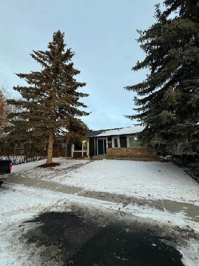 cozy main floor house for rent MARCH 15th Image# 1