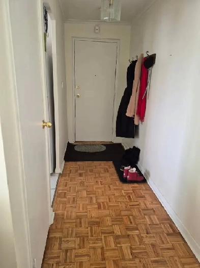 Looking for a roommate Image# 1