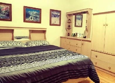 Private Room Available Feb 1 in Large North Mississauga Home Image# 1