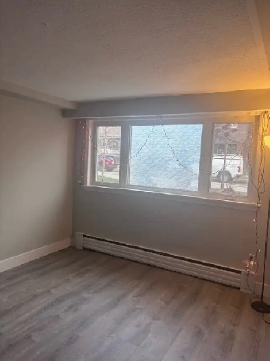 Newly Revovated One Bedroom Suite