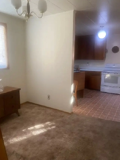 2 bedroom apartment for rent with basement and washer/ dryer Image# 6