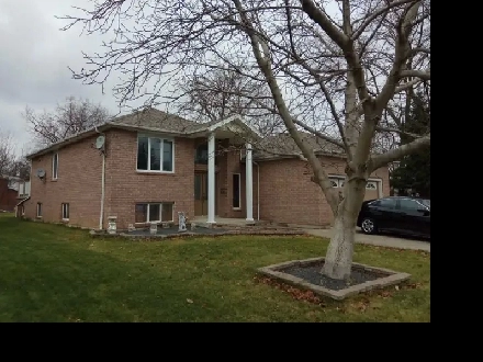 Room for rent (close to St Clair College) Image# 1