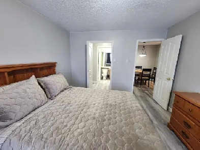 Newly renovated condo Image# 1