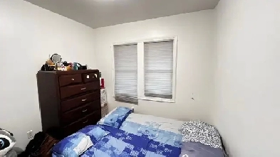 Room AvailableNear University  College