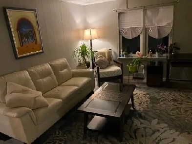 Large 1 bedroom apartment near downtown in Tillsonburg