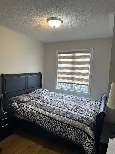 Room for Rent Milton Image# 1