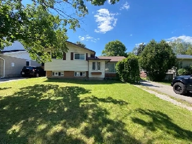 ROOMS FOR RENT ON HAZEL ST WATERLOO NEAR LAURIER AND UOFW Image# 1