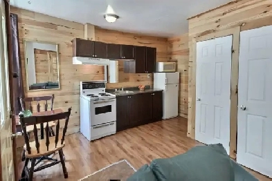 APPARTEMENT 1 CHAMBRE 3 1/2  MEUBLÉ-TOUT INCLUS, CENTRE VILLE Image# 1