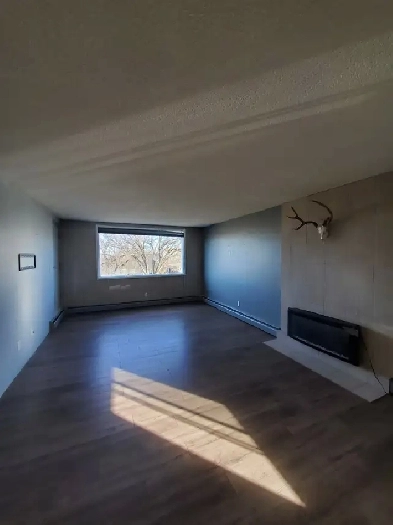 2 bedroom apartment - close to downtown. Available NOW Image# 3