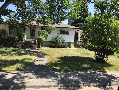 Large 1 Bedroom Basement Suite Image# 1