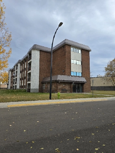 Bachelor Suite on the South Hill available Now! Image# 1