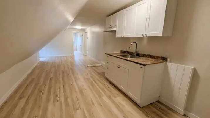 Newly Renovated 2 Bedroom Unit in Welland!