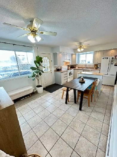 Appartement 3 chambres à louer Image# 1