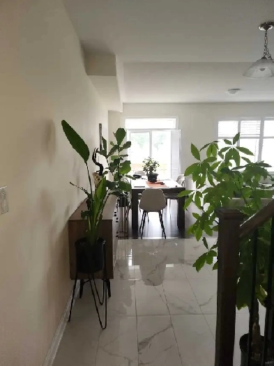 Room for Rent Image# 1