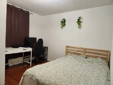 Brampton Ground Leve1 1 Bedroom Apartment Rent Bovaird/Bramalea