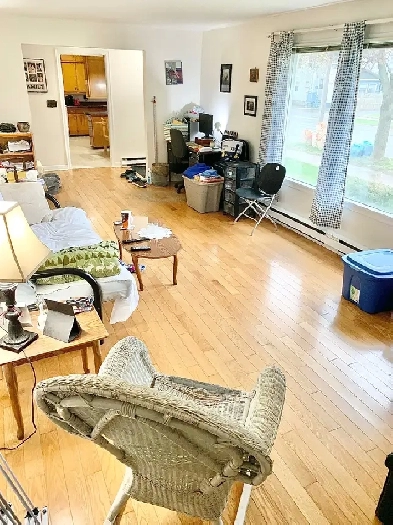 Room Rental (Large Downtown 2 Bedroom Apartment) - March 1st Image# 3