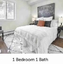 1 Bedroom 1 Bath-Apartment Image# 1