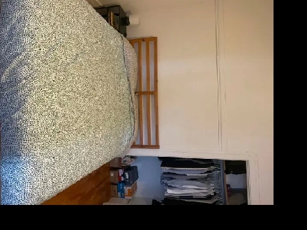 Chambre à louer 1er mars 2026 725$ Image# 1