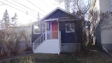 Top floor and a House 1 bedroom used as office and waiting room Image# 1