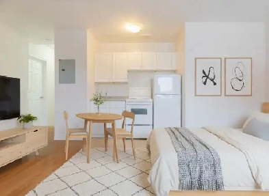 Bright Bachelor Apartment Near Downtown Sudbury Image# 4