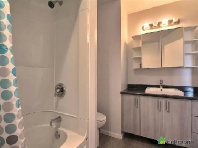 Big size 3 1/2 For Rent in part of triplex. Image# 1