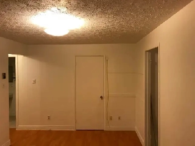 1 Bedroom Apartment with utilities Image# 1