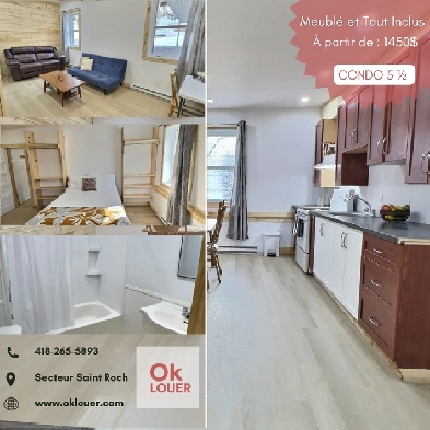 APPARTEMENT MEUBLÉ-TOUT INCLUS 3 CHAMBRES 5 1/2  -  CENTRE VILLE Image# 1