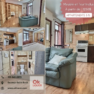 APPARTEMENT 1 CHAMBRE 3 1/2  MEUBLÉ-TOUT INCLUS, CENTRE VILLE Image# 1