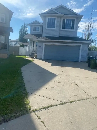 Basement Suite for rent, South Side Image# 1