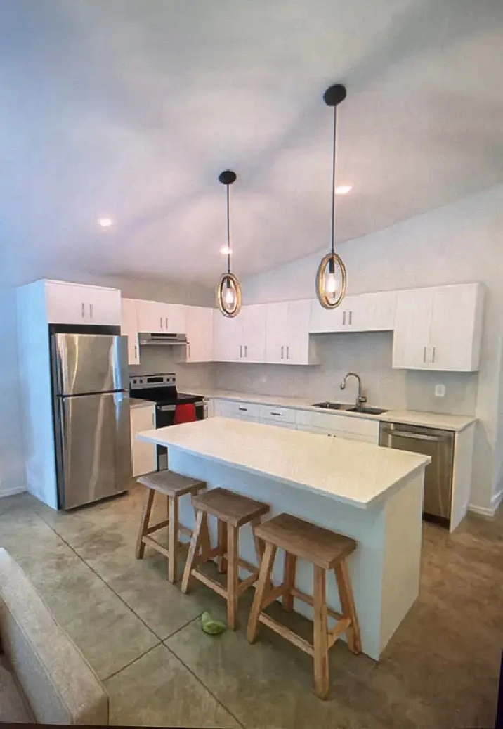2 Bed 1 bath home ready for Feb - Modern, clean, bright design!