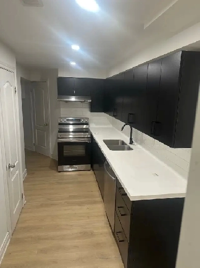 Basement Apartment for Rent (Whole Basement or Room Rental) Image# 1