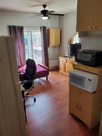 Furnished Bachelor everything included - Available on 1 February