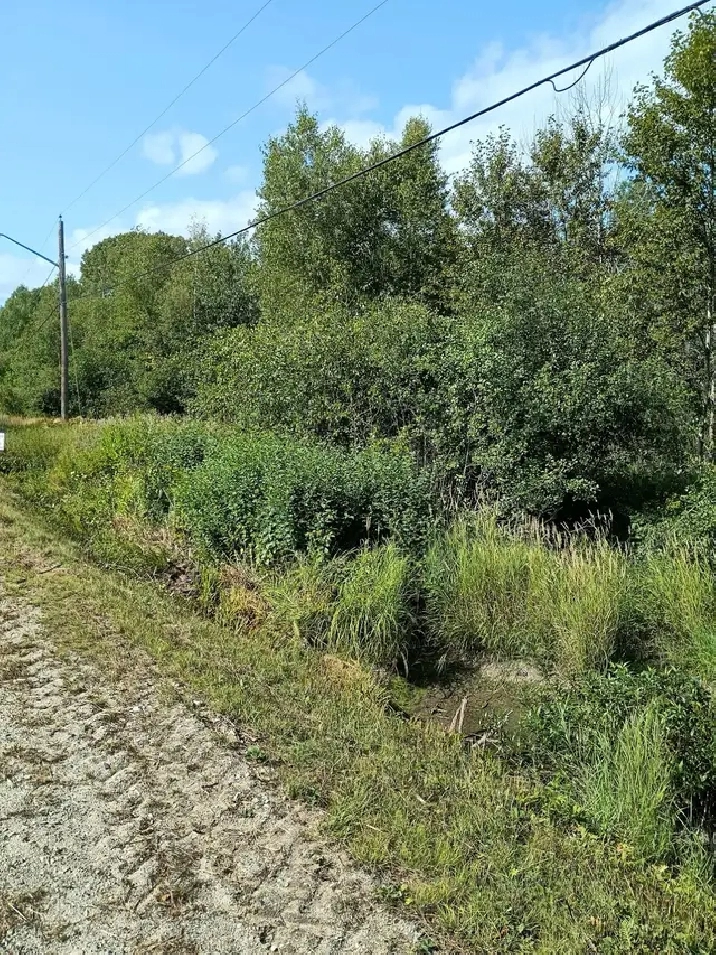 Land for Sale: 2.8 acres on Sutton Rd, Miramichi