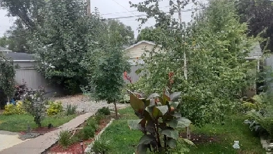 1 Bdrm Furnished and stocked - Eastside off street Park Image# 1