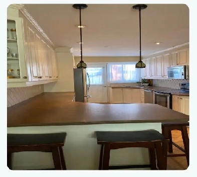 ParkEx 4 1/2 fully renovated apt-UQAM-Parc metro Image# 1