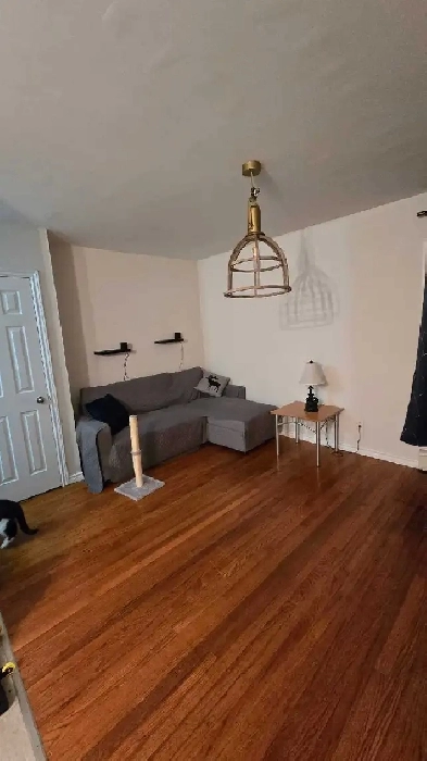 1 bedroom apt available downtown Simcoe in a security building