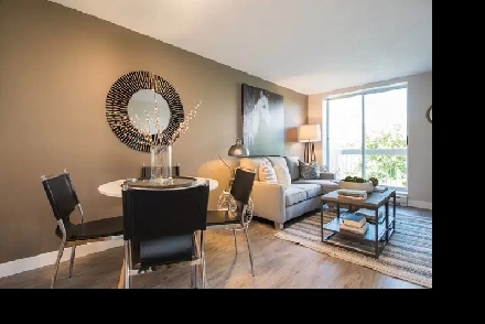 Walk to Fanshawe Campus Student Apartment Image# 1