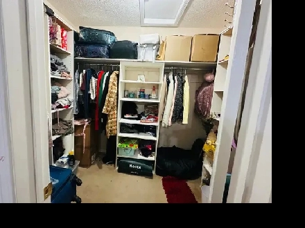 Furnished master bedroom mins from Square /one (Females) - Imm. Image# 1