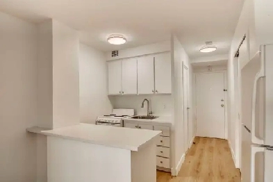 10th floor Studio apartment near McGill University - ID 4169 Image# 1