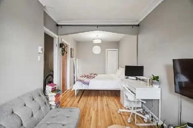 1 350$ Studio Métro Ligne Bleu. Image# 2