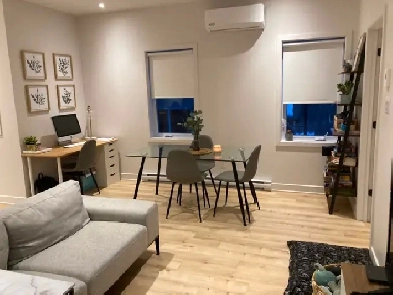 Grand 4 1/2 à louer - Hochelaga  1 mois gratuit Image# 1