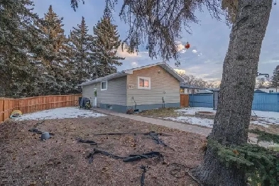 One room basement for single and couple. Dover Image# 1