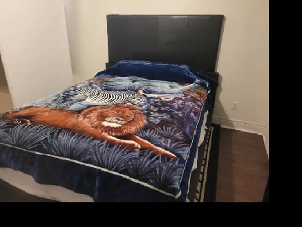 One Room for single Christian Image# 1