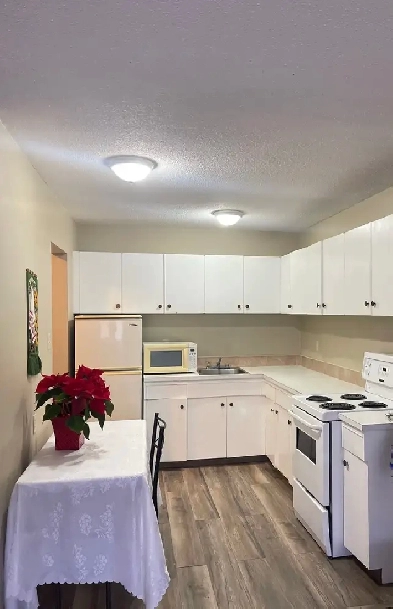 FOR RENT: 1 and 2 BD Apartments (5 minutes walking to NAIT Image# 1