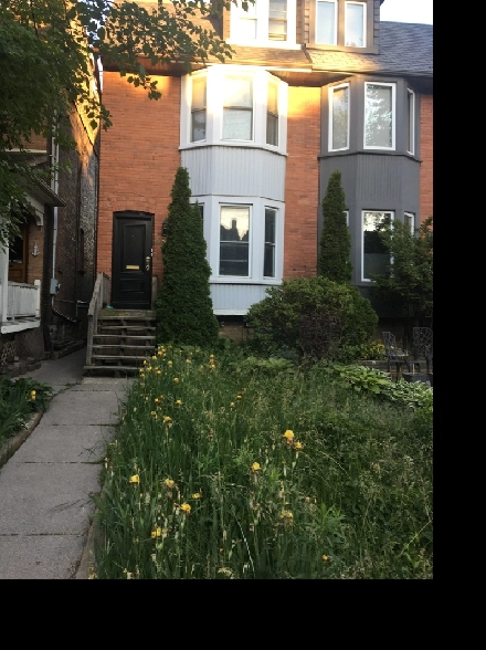 Annex Bright Basement Apartment by Dupont subway Image# 1