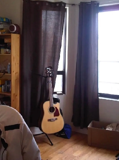 Glebe: Large,Bright 4 Bed/2 Bath,10/2 min Walk/Bus Carleton May1 Image# 2