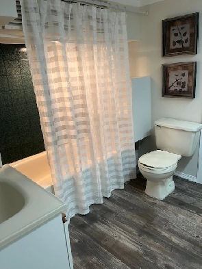 1 Bedroom Basement - Newly Reno'd Image# 1