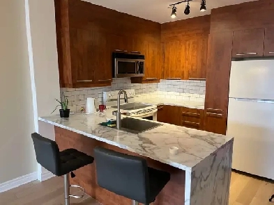 À¸louer :Grand condo de 3  1/2 à louer près de Metro à Laval Image# 1