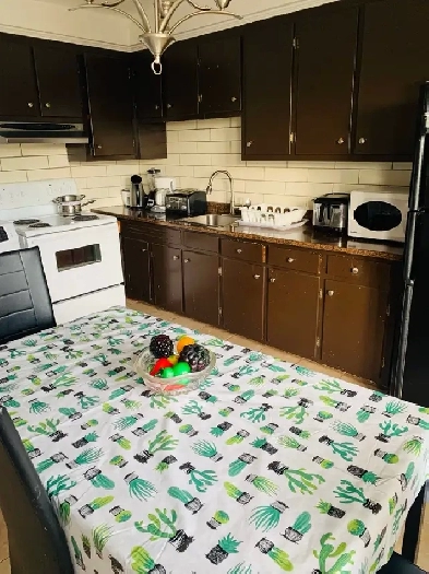 chambre à louer Image# 1