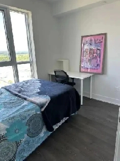 Brampton  Private Entrance Spacious 2 Bed Basement Image# 1